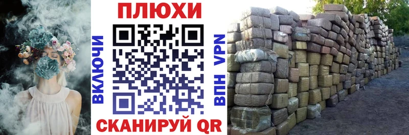 ГАШ Premium Котовск