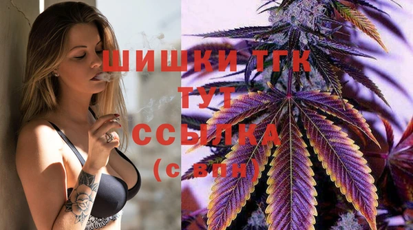 ALPHA PVP Няндома