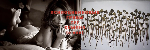 индика Нягань
