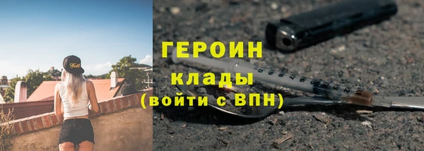 индика Нягань