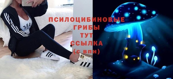 стафф Нязепетровск