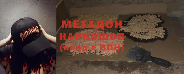 индика Нягань