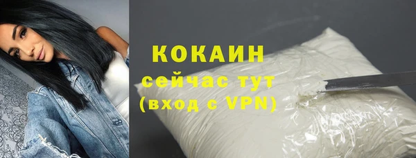ALPHA PVP Няндома