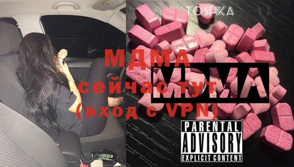 индика Нягань