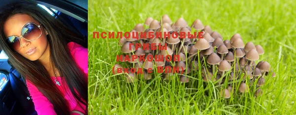 индика Нягань