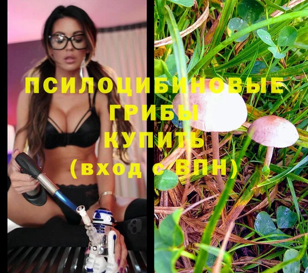 стафф Нязепетровск