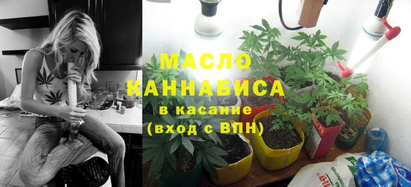 индика Нягань