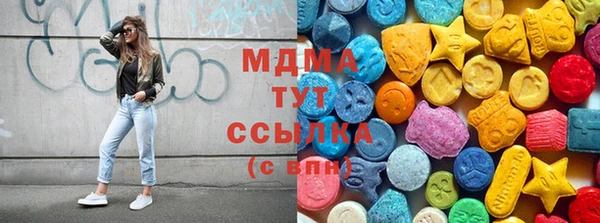 индика Нягань