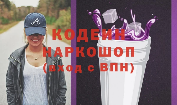 индика Нягань