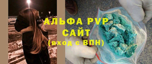 индика Нягань
