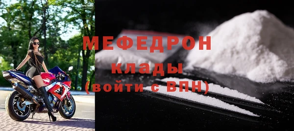 индика Нягань
