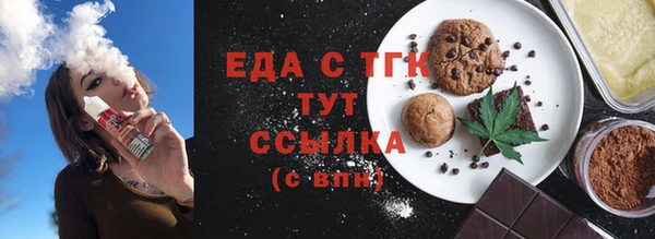 индика Нягань