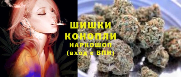 индика Нягань