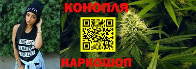 твердый Бийск