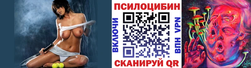 hydra ссылки  Котовск  Псилоцибиновые грибы мицелий 