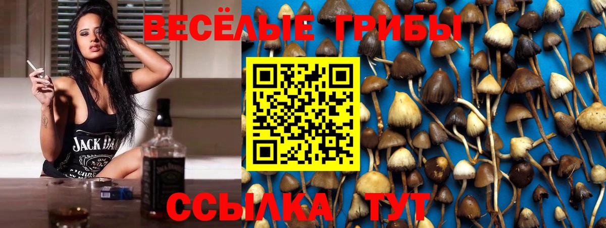 Галлюциногенные грибы Magic Shrooms  Вход с VPN  Котовск  Псилоцибиновые грибы MAGIC MUSHROOMS 