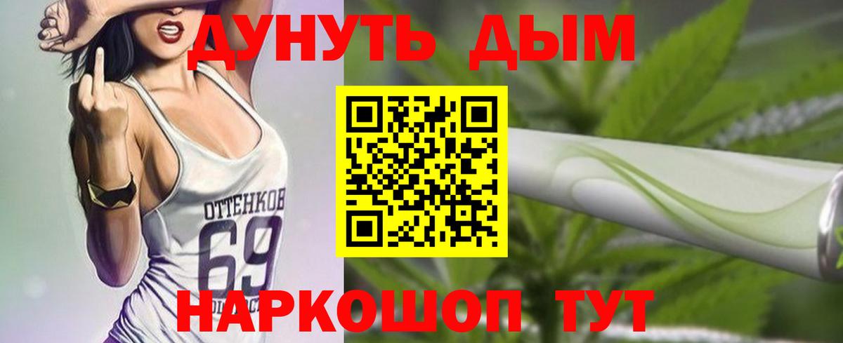 Бошки Шишки Котовск